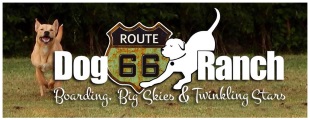 Route 66 Dog Ranch LLC
